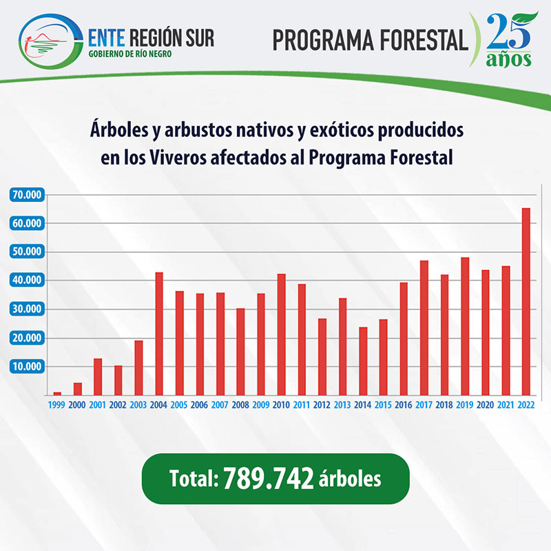 programa_forestal_estadisticas_2 programa_forestal_estadisticas_2
