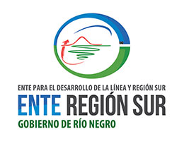 qr_ente_region_sur