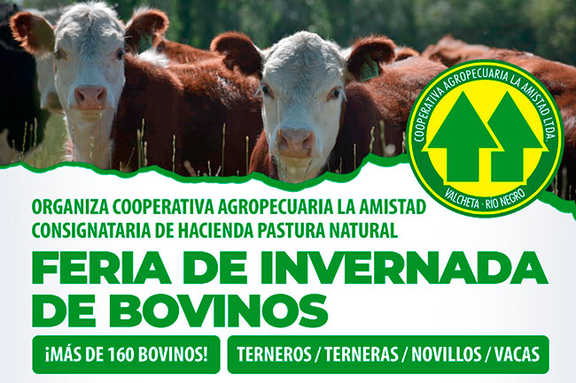 Lee más sobre el artículo Feria de Invernada de Bovinos 2024