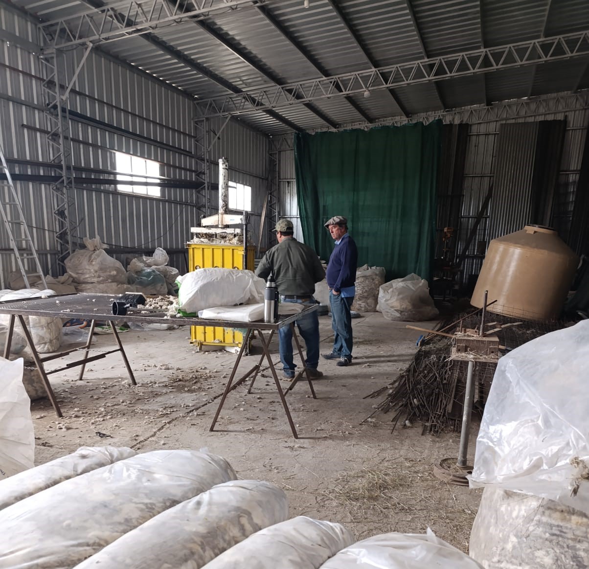 En este momento estás viendo Actividades  Programa Ganadero Octubre